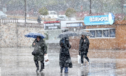 Erzurum'da mayıs ayının ortasında lapa lapa kar yağdı!