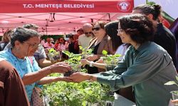 Menteşe Belediyesi’nden 60 bin ata tohumu fidesi