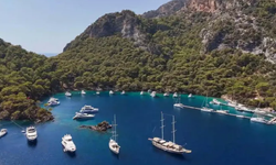 Göcek'te kaplumbağalar için müzik yasağı! Belirli saatlerde çalınmayacak