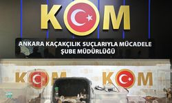 5 ilde 'egzotik hayvan' operasyonu! 96 tür ele geçirildi