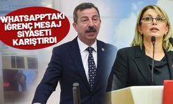 CHP'li Asu Kaya'dan, İYİ Parti'deki skandal mesaja yanıt