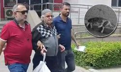 Sokak kedisini tüfekle öldüren saldırgan savcının itirazıyla tutuklandı