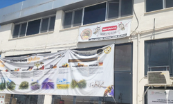 Kraliçe arıları haczettiler