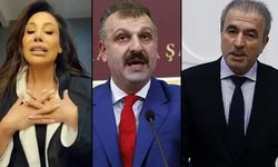 Irkçı kafa! Saray danışmanından AKP'li rektöre 'Linet' ayarı
