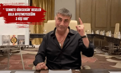 'Türkiye'ye dönecek' iddialarına Sedat Peker son noktayı koydu!