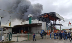 Sakarya'da fındık fabrikasında yangın!