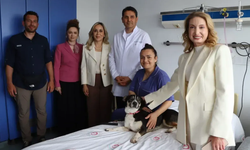 Doktorlar ayakta! AKP'li vekil ameliyat olan hastaları köpekle ziyaret etti