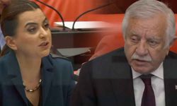 Gülistan Kılıç Koçyiğit TBMM'de Kürtçe konuşunca MHP'li Celal Adan mikrofonu kapattı