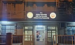 Sulama kanalına düşen kamyonetteki baba-kız feci şekilde can verdi