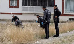 3 aylık bebek boş arazide bulundu!