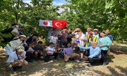 Japon konuklardan kiraz hasadına yoğun ilgi