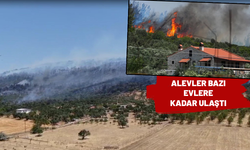 İzmir'de orman yangını! 4 gözaltı