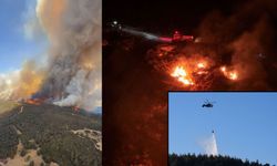 İzmir'deki orman yangını 22 saat sonra kontrol altına alındı, geriye bu görüntüler kaldı
