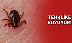 Kene tehlikesi bu kez Çankırı'da! KKKA bir can daha aldı