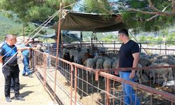 Sokakta kurban kesene ceza yağacak