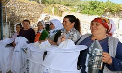 Menteşe Belediyesi’nden arıcılara destek
