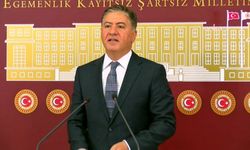Murat Emir: Aklınızı başınıza alın zeytinleri size kıydırtmayız