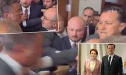 AKP'nin ağaç kesme inadı! Meclis'te zeytin kavgası