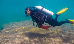 Deniz dibi temizliği Turgutreis’te devam etti