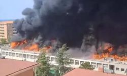 İtalya'daki Tuscia Üniversitesi'nde korkutan yangın