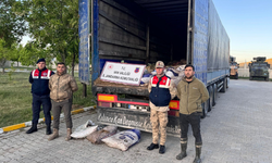 Av yasağını tanımadılar! Tam 19 ton ele geçirildi