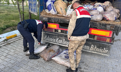 Av yasağını tanımadılar! Tam 19 ton ele geçirildi