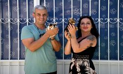 Başkan Ömer Günel’den can dostlar için yeni bir hizmet daha