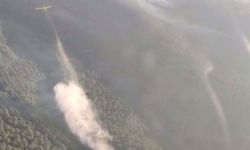 Balıkesir’deki orman yangını ikinci günde kontrol altında! 5 gözaltı