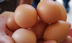 Yumurtanın bilinmeyen faydaları! Her gün yemek bakın nelere iyi geliyor