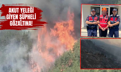 Bursa'daki yangının boyutu gün ışıklarıyla ortaya çıktı! Alevler şiddetini tekrar artırdı