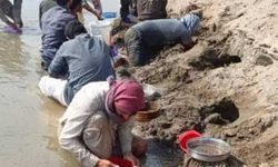 Piriti altın sandılar, Fırat Nehri'ne akın ettiler