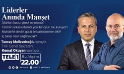 Silahlar sustu, şimdi ne olacak?