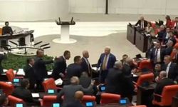 TBMM'de "ayı' tartışması! AKP'li Varank'tan CHP sıralarına skandal sözler