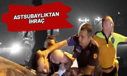 Ormanı cezaevine girmek için yakmış