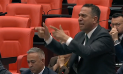 Meclis'te 'ayı' krizi: Sarayın bir kenara attıkları