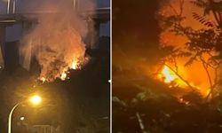 Beykoz'da ormanlık alanda yangın