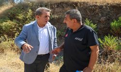 Başkan Yetişkin yangın bölgesinde