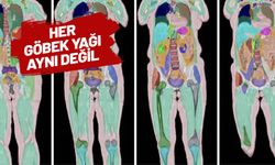 100 bin insanın vücut taramaları hastalıkların tespit ve tedavi şeklini değiştirebilir!