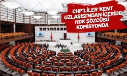 DEM Parti'nin komisyon üyeleri belli oldu