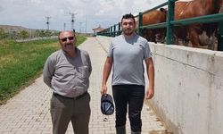Kavgada silahlar konuştu muhtar ve oğlu katledildi