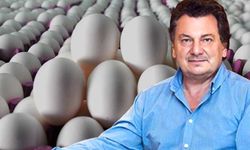 Vedat Milor'u yakından ilgilendiren haber!