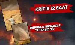 Sakarya'da başlayan yangın büyüyor! Köyler boşaldı, tarlalar yandı, çiftçi perişan