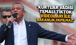 Özgür Özel’den Hakan Fidan’a Kurtlar Vadisi göndermesi: Varsa yoksa TikTok