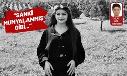 Ayşe Tokyaz'ın ağabeyi ilk kez konuştu: Yüzü tanınmayacak haldeydi, çürümüştü