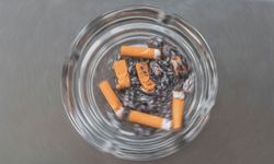 Sigara kullanımında 'üniversite' detayı