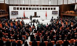 Zeytinlik talanına 'süper izin' Meclis'ten geçti