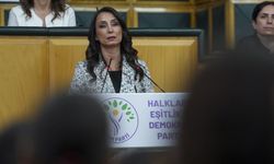 DEM Parti'den yandaş yazara sert yanıt: Nedenlerini gayet iyi biliyoruz