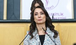 Hatimoğulları: Operasyonlar barış umuduna gölge düşürüyor
