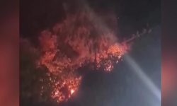 Havai fişekle yangına sebep olmuşlardı! Cezaları belli oldu