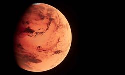 Mars'tan Dünya'ya düşen en büyük gök taşı rekor fiyata satıldı